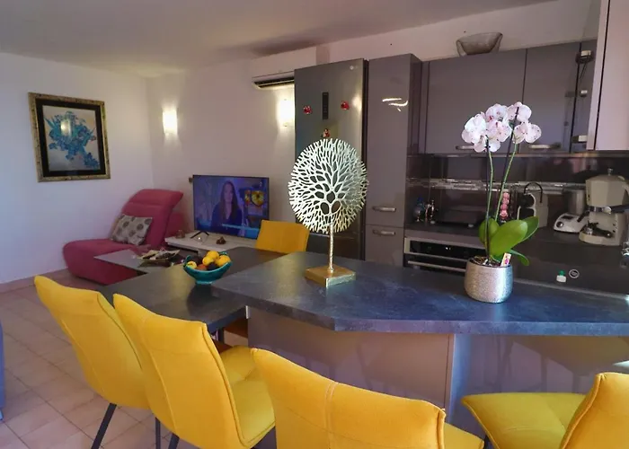 Appartement Somptueux T2 Climatise Avec Terrasse Et Parking A Sete - Fr-1-472A-283 Sète