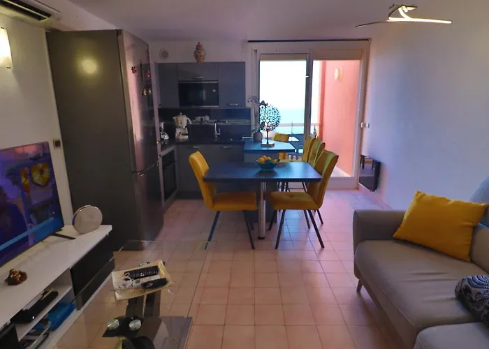 Appartement Somptueux T2 Climatise Avec Terrasse Et Parking A Sete - Fr-1-472A-283 *