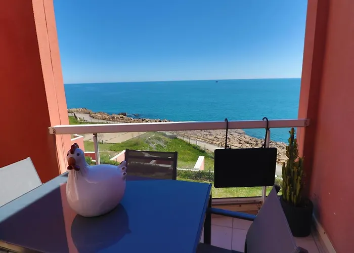 Somptueux T2 Climatise Avec Terrasse Et Parking A Sete - Fr-1-472A-283 Appartement *